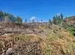 CMPC combatió incendio en Ñuble durante jornada previa a nuevo fin de semana de altas temperaturas