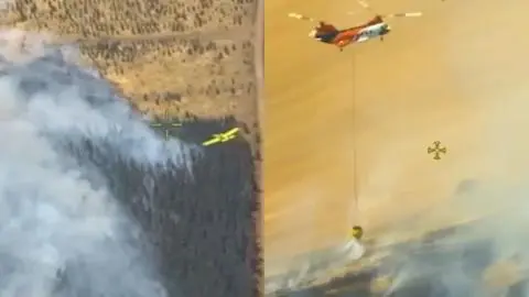Entre equipos de CMPC, Bomberos, Conaf y vecinos salvan cultivo agrícola de dos incendios en la Región de Ñuble