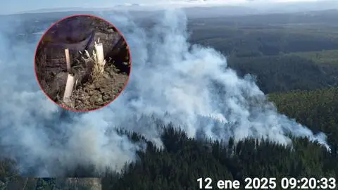 Denuncian nuevo incendio forestal intencional en Los Álamos