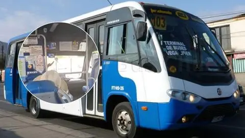 Chofer de micro agredió verbalmente a adulta mayor por no pagar su pasaje completo en Antofagasta: Le faltaron 50 pesos