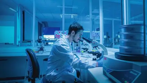 USS se ubica en top cinco nacional en proyectos Fondecyt de Iniciación 2025 y es la segunda en Biobío