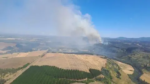 CMPC combate incendios forestales en el Maule, Biobío y La Araucanía