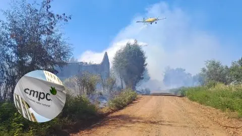 Incendios rurales: CMPC ha combatido 69 incendios durante los últimos siete días