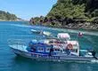 Capitán de barco que naufragó en Osorno queda en prisión preventiva