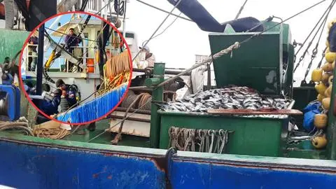 Una práctica que afecta al resto del sector: Detectan embarcaciones extrayendo jurel antes del inicio de la temporada de captura de este año