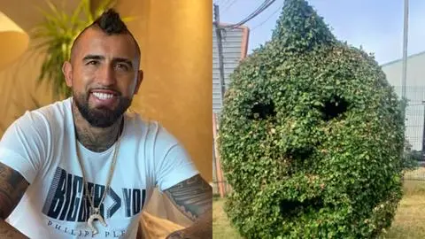 Con peinado incluido: Viralizan particular homenaje de jardineros a Arturo Vidal en Talcahuano