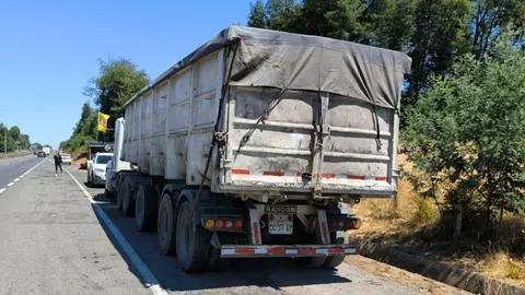 Detienen a seis personas en el Biobío por el robo de un camión que tenía un millonario cargamento
