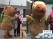 “Acá tienes tu regalo”: Policía se disfrazó de “el capibara del amor” para detener a narcotraficante durante San Valentín en Perú