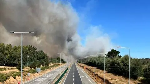 Incendio forestal en Collipulli: Corte en Ruta 5 Sur, evacuaciones en curso y adelanto del Toque de Queda