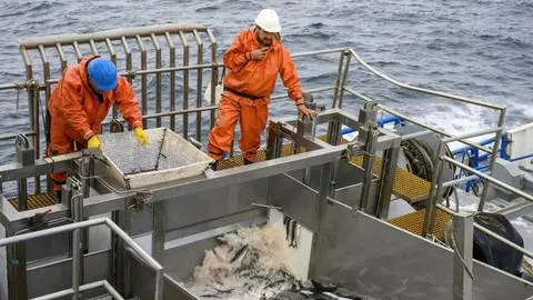 Advierten sobre los riesgos del fraccionamiento pesquero en disponibilidad de pescado para el consumo humano