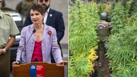Más de 100 mil plantas incautadas: Ministra Tohá destaca resultados del Plan Cannabis en lo que va de 2025