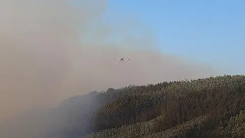 Senapred declara Alerta Roja Regional para el Biobío por incendios forestales