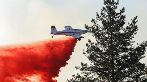 Incendios forestales en Chile: 22 siniestros en combate, 28 casas destruidas y 15 detenidos por sospecha de iniciar el fuego