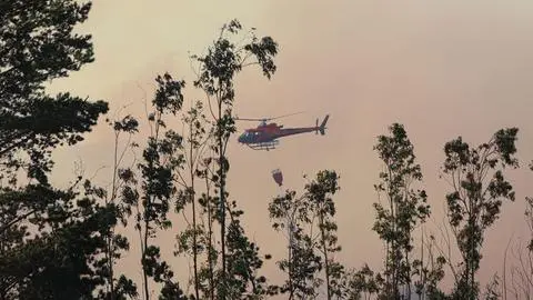 Balance de incendios forestales en Chile: 44 mil hectáreas quemadas y preocupación en La Araucanía y Biobío