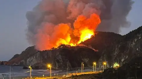 Senapred declara alerta roja comunal para Lebu por incendio forestal