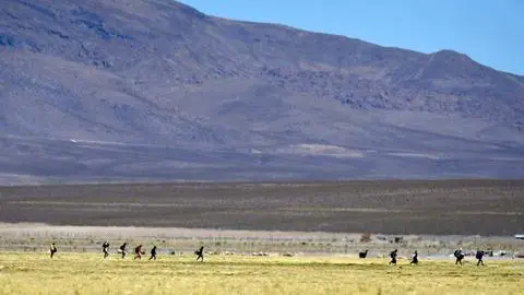Chile y Bolivia firman acuerdo histórico para frenar la migración irregular y combatir la trata de personas