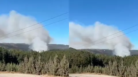 Declaran Alerta Roja por incendio forestal en Tomé