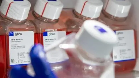 Inmunoterapia DEX marca un antes y un después en la lucha contra el cáncer