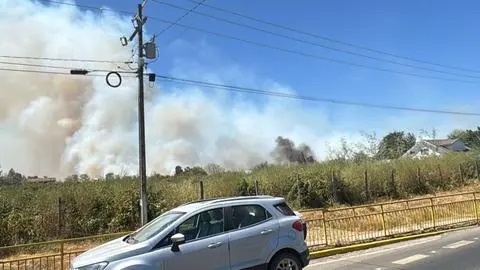 Declaran Alerta Roja en Coihueco por incendio forestal en Las Taguitas