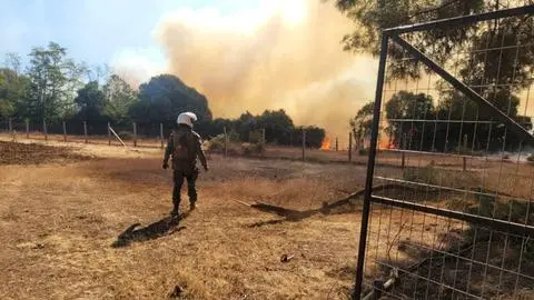 Solicitan evacuación de sectores de Ñuble por reactivación de incendio en San Ignacio y Pinto