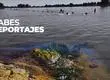 El privilegio que puede perderse: el complejo estado de salud de las lagunas urbanas de Biobío y Ñuble