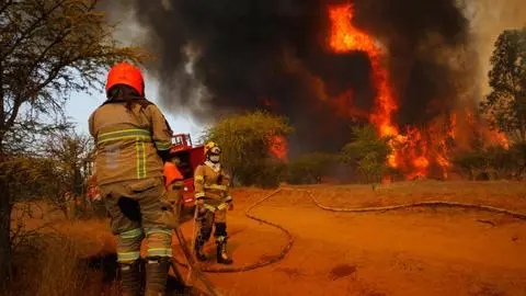 Balance 2025: 9 mil hectáreas quemadas dejan los incendios forestales los últimos días en Chile