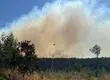 Evacúan Punta de Parra en región del Biobío por incendio forestal: está siendo combatido por aire y tierra