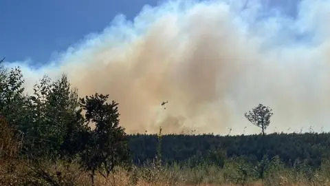 Evacúan Punta de Parra en región del Biobío por incendio forestal: está siendo combatido por aire y tierra