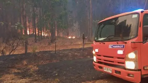 Incendio forestal de Collipulli suma nuevas evacuaciones y amenaza a vecinos