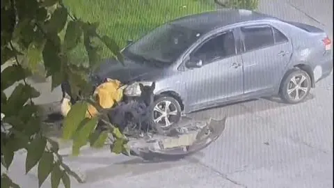 Dos perros callejeros muerden y destrozan auto estacionado en Plaza Perú de Concepción