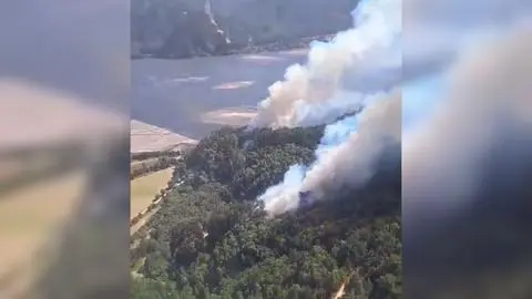Incendio forestal en Hualqui habría comenzado con dos focos simultáneos: Presentarán querella por intencionalidad