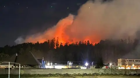 Incendio en Cerro La U encendió alarmas en el sector Las Higueras de Talcahuano