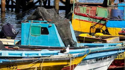 Pescador de Coronel muere apuñalado al interior de una embarcación