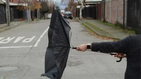Marzo terminará con fuertes vientos en comunas del Biobío