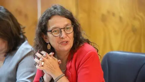 “Es un tema que abordamos fuertemente”: Subsecretaria de Educación se refiere a estudiante que fue baleado en Lota
