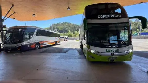 Arriendo, pan y viajes en bus: IPC registra alza en el mes de febrero