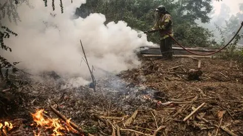 Persiste la ardua batalla contra el fuego: CMPC dedica esfuerzos en 15 incendios durante este martes