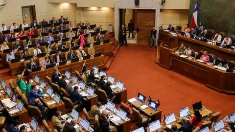 Presentan proyecto de ley que permitiría que ONGs se querellen en casos de femicidio y violencia de género