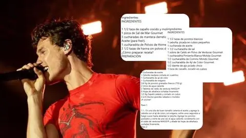 Lo comparan con Adam Levine y le dejaron recetas: Shawn Mendes se llena de críticas tras su presentación en Lollapalooza Argentina