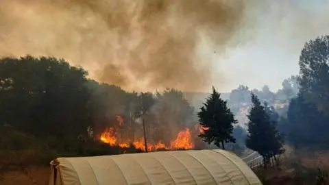 Anuncian cortes de luz en doce comunas del Biobío por múltiples focos de incendio