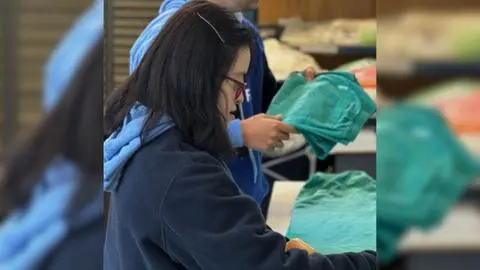 Día Mundial del Síndrome de Down: Los desafíos en la formación educativa en Chile