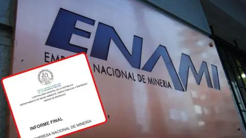 Contraloría descubre pagos millonarios a familiar de ex director de Enami
