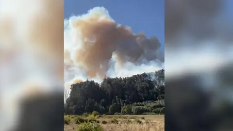 Senapred emite alerta de evacuación para sectores de las comunas de Santa Juana y Hualqui