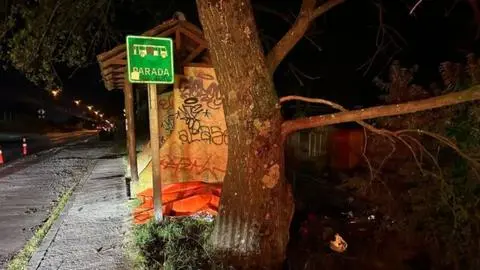 Vehículo menor impactó contra un paradero: Conductor fallece tras choque de alta energía en ruta de Puerto Montt