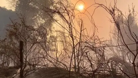 Confirman la destrucción de cuatro viviendas por incendio forestal en Santa Juana
