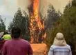 Biobío bajo Alerta Roja por incendios forestales