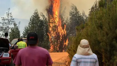 Biobío bajo Alerta Roja por incendios forestales