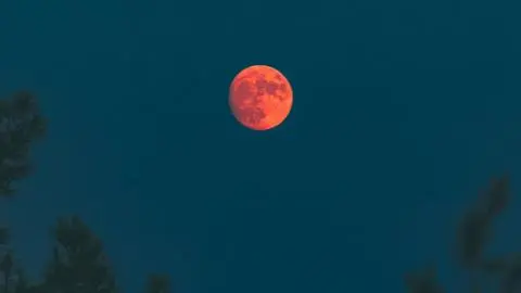 “Luna de sangre” este 14 de marzo y los otros eventos astronómicos que ocurrirán este año