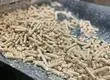 Región del Biobío asegura abastecimiento de pellet para temporada 2025