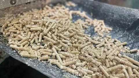 Región del Biobío asegura abastecimiento de pellet para temporada 2025